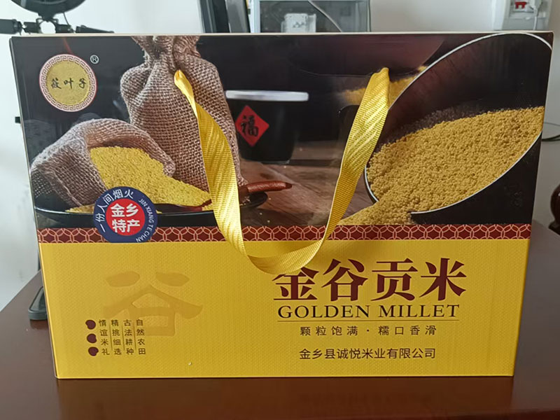 微信圖片_20250617091707.jpg